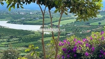 LÂM ĐỒNG VIEW HỒ PHÚC THỌ, 1 000m có 100m thổ CHỈ 849TR