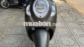 Honda Scoopy 2022 Nâu