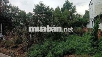 200M2 ĐẤT THỔ CƯ 13X16 FULL THỔ ĐƯỜNG XE HƠI TÂN HIỆP GẦN THỊ TRẤN HM