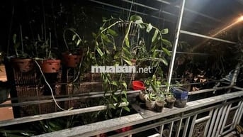 NHÀ MỚI ĐẸP 43M2 CÓ NỘI THẤT MT NGUYỄN HỮU THỌ GẦN CẦU BÀ CHIÊM