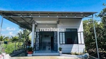 Chủ bể nợ cần bán gấp căn nhà vườn 1300m2 có thổ cư giá 240tr