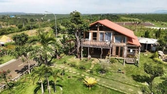 DỰ ÁN ĐỒI HOA GIÓ - 389M2 - NGHĨ DƯỠNG XANH