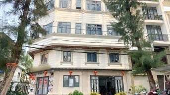 Bán Gấp - CHDV Tân Quy Đông - Thu nhập 250tr/thang Q7 