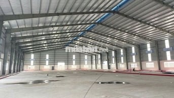 CHO THUÊ KHO XƯỞNG MỚI KCN ĐỨC HÒA 4350M2, PCCC TỰ ĐỘNG, ĐƯỜNG CONT