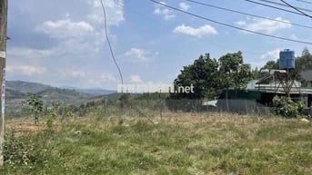 Đất 2 mặt tiền Ql20 225tr/m ngang