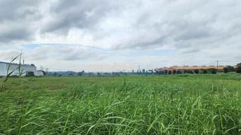 BÁN ĐẤT KCN NAM THUẬN, ĐỨC HÒA 190USD/M2 DIỆN TÍCH VỊ TRÍ THEO NHU CẦU