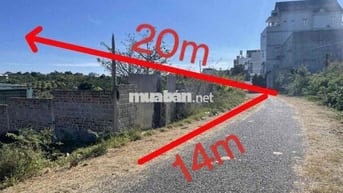 Thanh lý lô đất full thổ 280m2 tại Hoà Ninh, Di Linh, Lâm Đồng