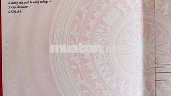 Em bán đất thổ cư 100% đường xe hơi tránh nhau