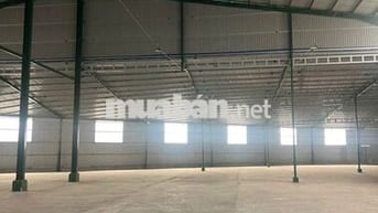 CHO THUÊ KHO 1000m² MẶT TIỀN QUỐC LỘ 1A  Bình Tân,GIÁ CHỈ 100 TRIỆU/TH