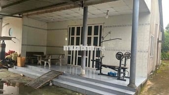 Cần bán gấp nhà và đất xã An Phước, ( ấp 4 Tam An Cũ)