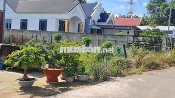 Bán Gấp Đất Giá Rẻ Bàu Bàng 500m2 420tr.Sổ riêng.Gần chợ,Xây cho thuê