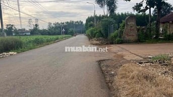mặt tiền nhựa ngang 135m tổng 2.3 hecta ở xã suối nho sẵn 300 thổ