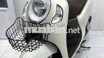 Honda Scoopy Smarkey 2024 Trắng