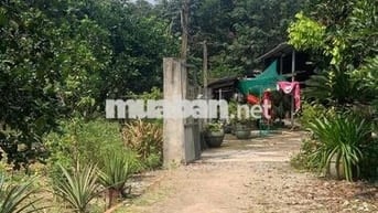 Chuyển về quê sống cần sang lại căn nhà vườn cấp 4 mt đường huyện