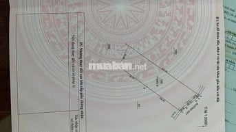 Bán Gấp Lô Đất Trồng Cây Cao Su Ở DH519 12000m2