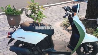 Honda Today Trắng Xanh lá