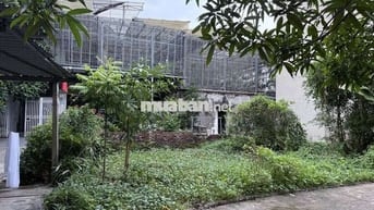 Bán đất nền khu bát tràng gia Lâm diện tích 105m2, giá 9tỷ