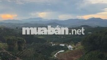 Đất 265m2, ngang 8 dài 34, sẵn 140m2 thổ cư ở Nam Hà Lâm Hà, Lâm Đồng