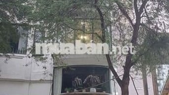 Mặt Bằng Kinh Doanh  78m2  31B Lê Thánh Tôn phường Sài Gòn