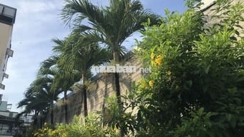 Thủ Đức cho thuê nhà nguyên căn