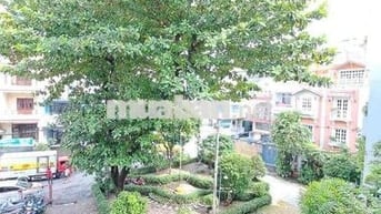 CHO THUÊ NHÀ KHU VIP CÓ CÔNG VIÊN TRƯỚC CỬA ĐƯỜNG NGUYỄN TRỌNG TUYỂN
