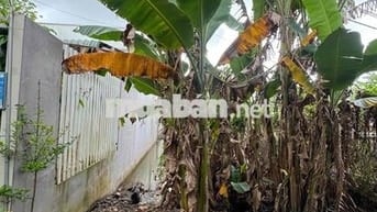 Bán gấp đất chính chủ cách trường Hoạ Mi điểm phụ 100 mét