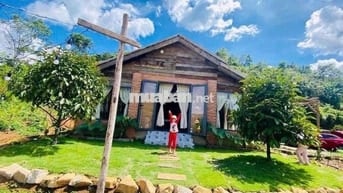 🔥 Bán Gấp Lô Đất Sào Nghỉ Dưỡng – Đại Lào, P.3 Bảo Lộc 🔥