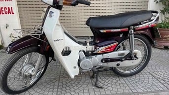 Drem thai chính chủ cccd êm chất chỉ đi