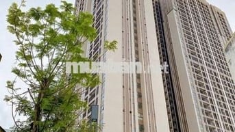 bán căn hộ Opal skyline 2PN giá tốt
