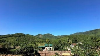 Chỉ hơn 4 triệu/m2 bán 1237m/200m thổ cư tại Yên Trung, Thạch Thất