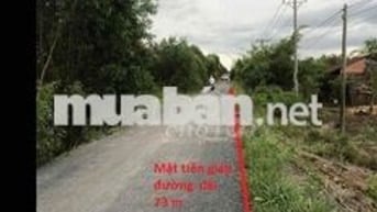 Bán đất mặt tiền H Tân Phước- TGiang( Đồng Tháp)