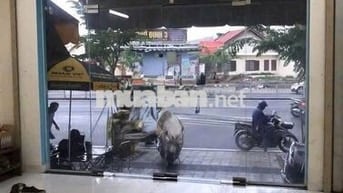 Cho Thuê Nhà Mặt Tiền Dương Quảng Hàm, P5,Gò Vấp- Diện tích : 5m x 20m