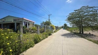 Bán Gấp Lô Nhà Vườn 370m² Điện Hồng – ĐT605 vào chỉ 200m – Giá Chỉ 750