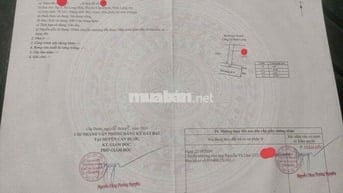 BÁN ĐẤT GIÁ CAO - NHƯNG TIỀM NĂNG - THIỆN CHÍ ALO ĐI COI MUA BÁN LUÔN