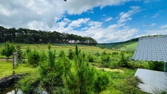 24 LÔ ĐẤT - 300M2 ĐẾN 900M2 - NGANG 10 - CHỈ 4.4 TRIỆU M2