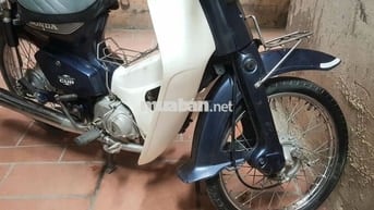 Bán cúp nhật 8270 màu xanh