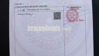 CHÍNH CHỦ BÁN NHÀ KHO ĐƯỜNG TỈNH LỘ 10 – TÂN TẠO, BÌNH TÂN (CŨ)