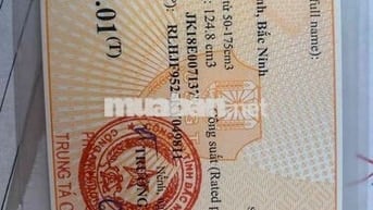 sh 125 cbs mơi tinh