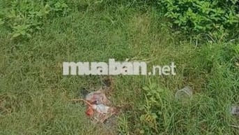 Đất sổ chung đường thân nhân trung trảng dài biên hòa đồng nai