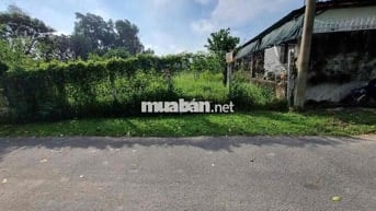 Đất ngộp 700TR Sở hữu ngay 499m2 Thổ cư Nguyễn Viết Xuân.TT Củ chi,