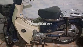 Honda Cub 82 70 Xanh Kem biển Hà Nội