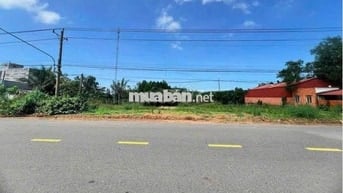 Bán đất mặt tiền kinh doanh ngay mặt tiền DH519(32m), 250m2 thổ cư,SHR