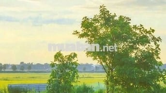 Chỉ 999tr sở hữu 1000m2 đất vườn View Kênh chuyển thổ