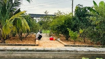 Bán đất vườn Xã Bình Mỹ Củ Chi, Đã có nhà vườn