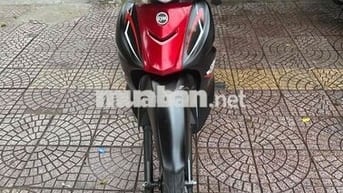 elegant 50c 2023 vĩnh long