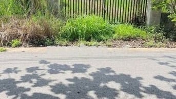 Chủ Cần Bán Lô Đất Đường Cây Trôm Mỹ Khánh,Thái Mỹ 117m2. Giá 1tỷ ,SHR