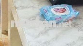 Cho thuê nhà cấp 4 hẻm Lê Hồng Phong Vũng Tàu