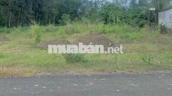 Đất chính chủ mặt tiền DH 519 chỉ 350tr ở Phước Thành ,Tp Hồ Chí Minh