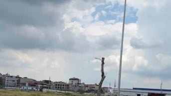 Cho thuê đất mạt tiền Lũy Bán Bích , Tân Phú , diện tích hơn:  5.000m2