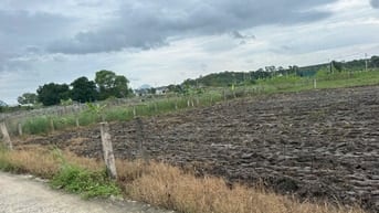 💥 Siêu Phẩm Full Thổ Cư 6x30 – Giá Chỉ 500 Triệu – Hiếm Khó Tìm Tại L